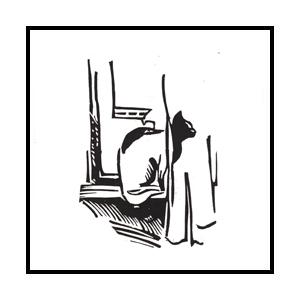 КОТ 10