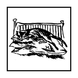КОТ 2