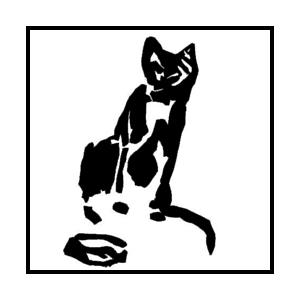 КОТ 6