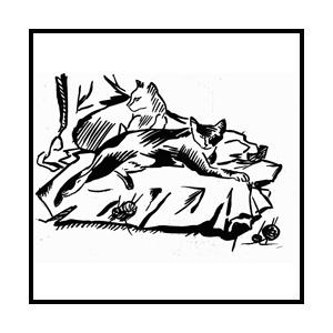 КОТ И КОШКА