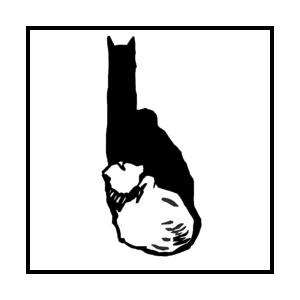КОТ 7
