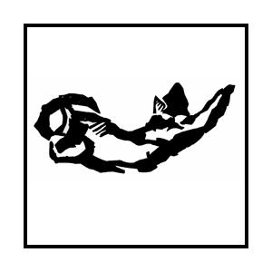 КОТ 8